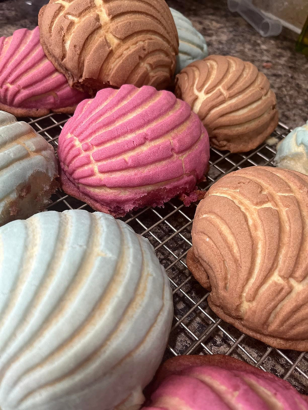 Concha Cutter for Pan Dulce